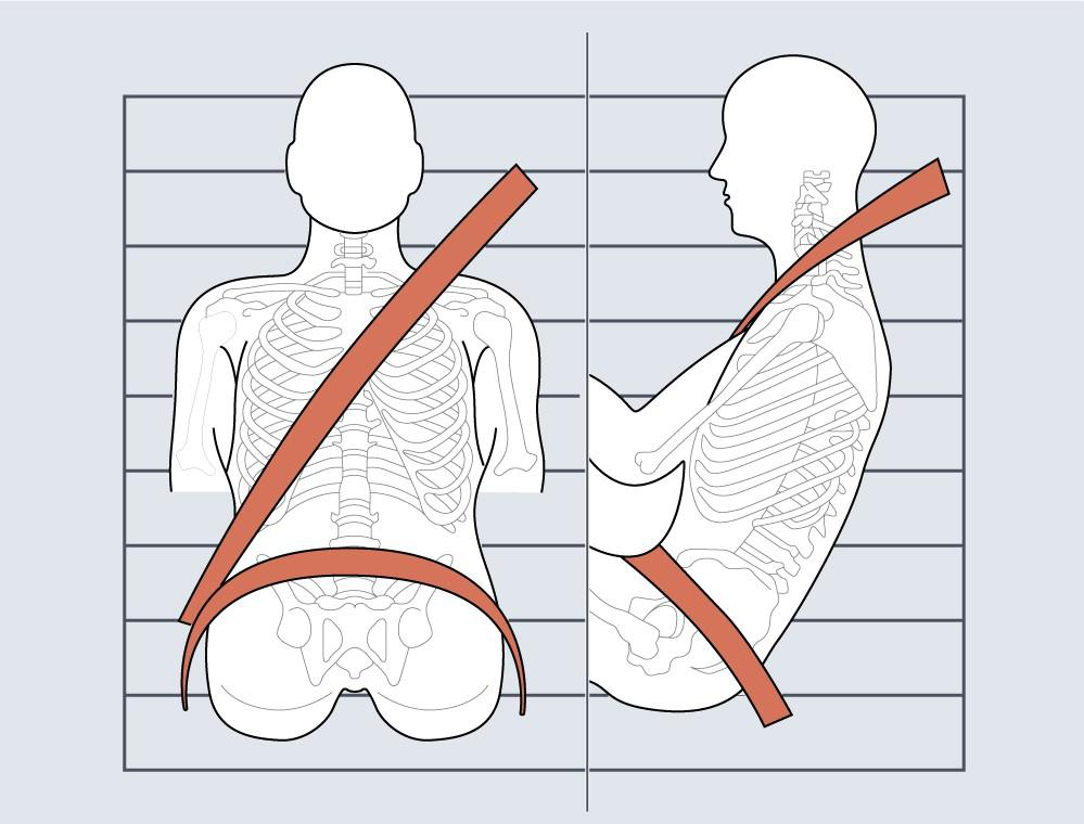 Illustration: Correct Routing of the Seat Belts